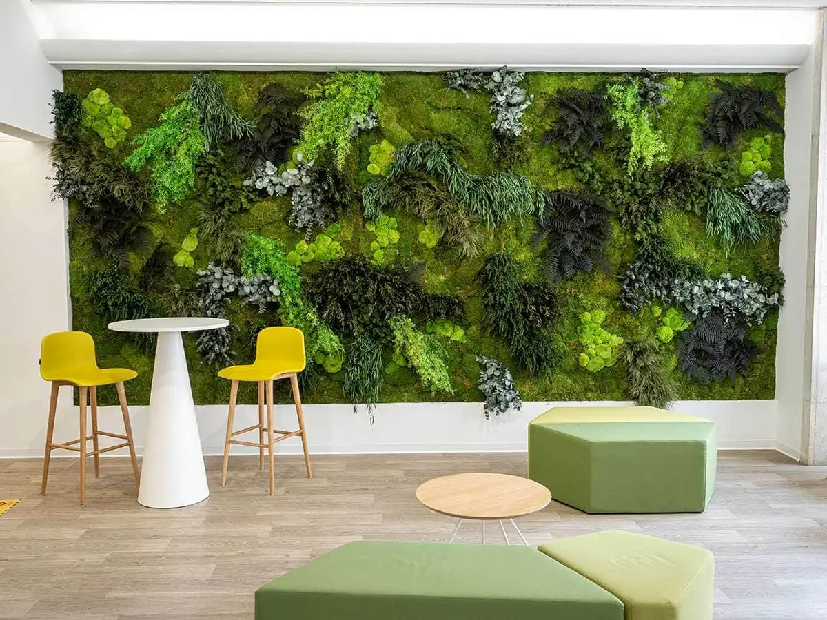Acoustic Wall Panels Made with Real Plants