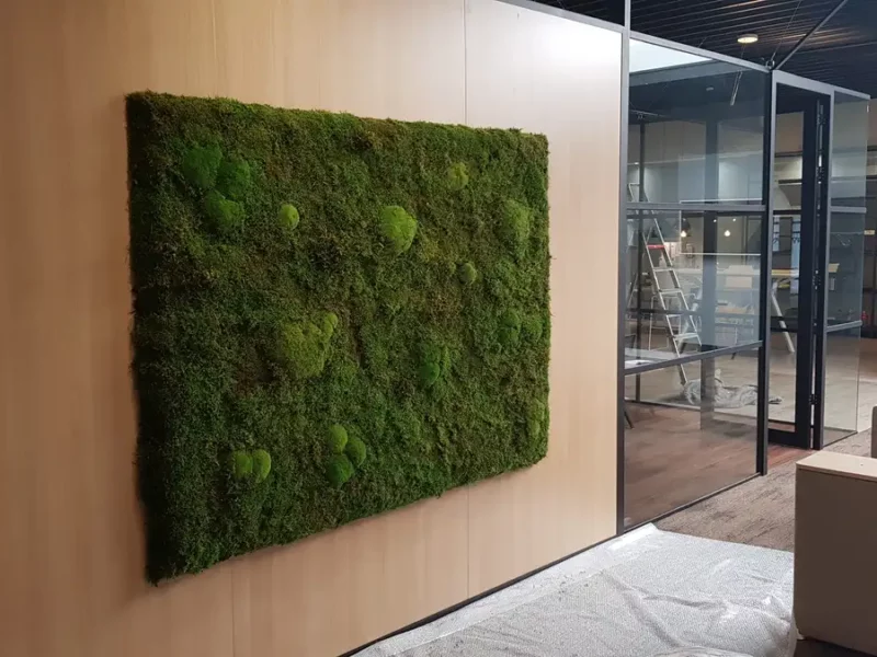 Moss Acoustic Wall Panel