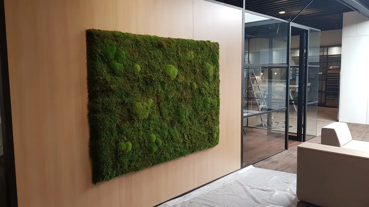 Moss Acoustic Wall Panel