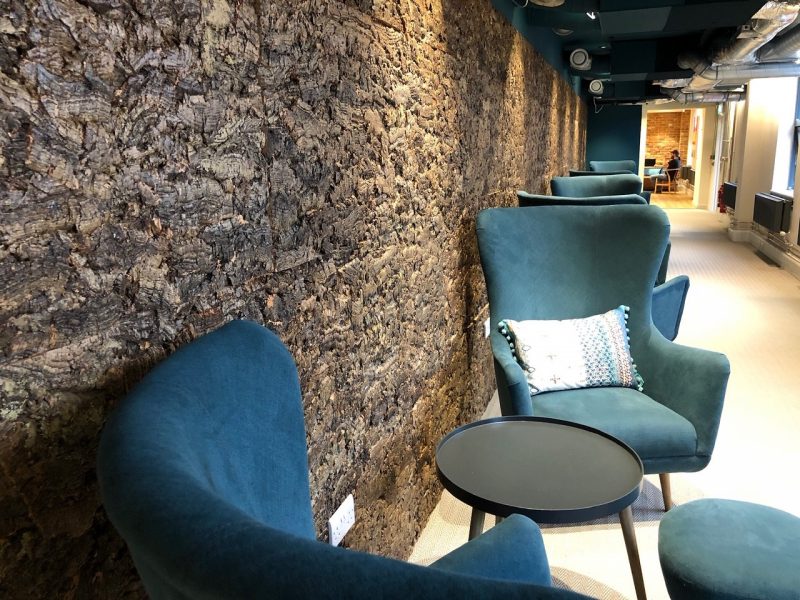 ISCCB17 Cork Bark